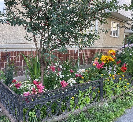 Конкурс «Расцвети свой город» в Чебаркуле